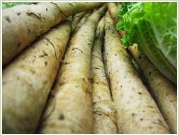 奈良県産・農薬不使用のごぼうを使用