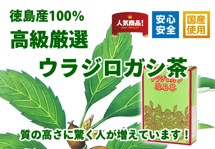 国産ウラジロガシ茶７ｇ&times;３０パック