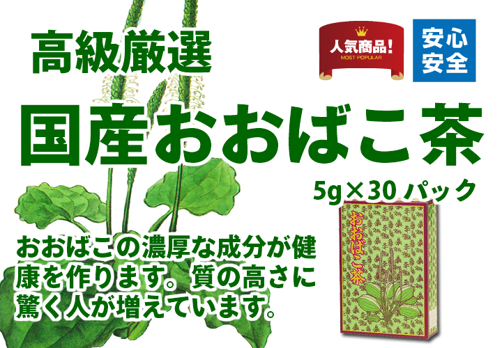 おおばこ茶５ｇ&times;３２パック