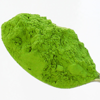 国産クマザサ粉末100g