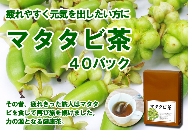 マタタビ茶１．５ｇ&times;４０パック