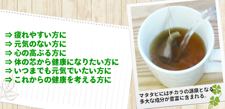 マタタビ茶はおすすめです