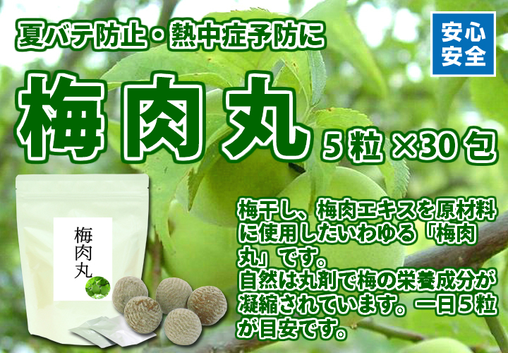 梅肉丸５粒&times;３０包
