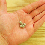 一日の目安は５粒