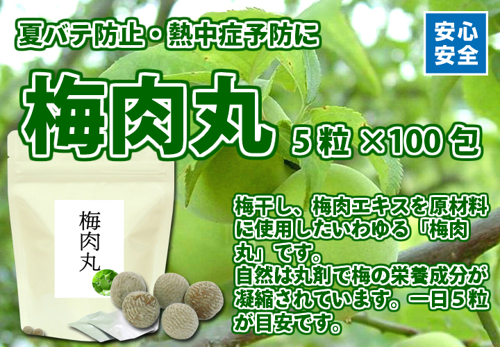 梅肉丸５粒&times;１００包