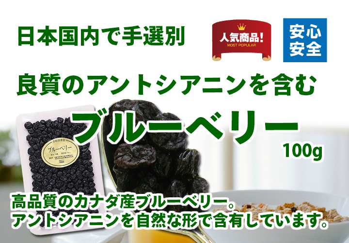 ブルーベリー１００ｇ