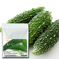 おいしいゴーヤ600g