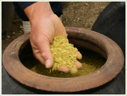 高品質の国産・玄米から製造