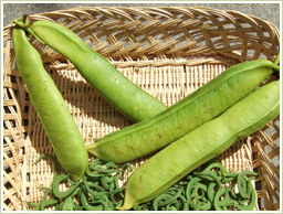 高品質の鉈豆を使用