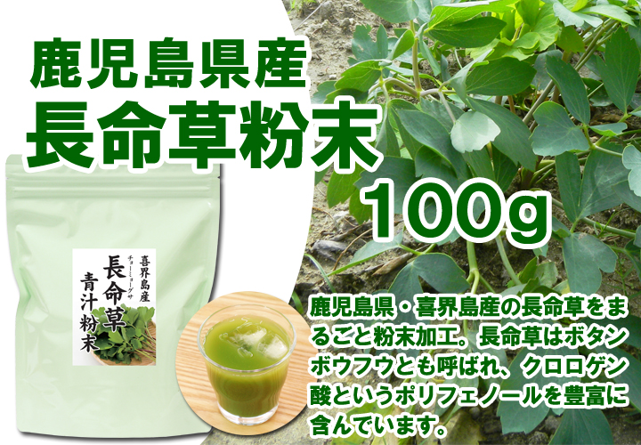 国産・長命草青汁粉末１００ｇ（5,400円以上で送料無料・沖縄県を除く）