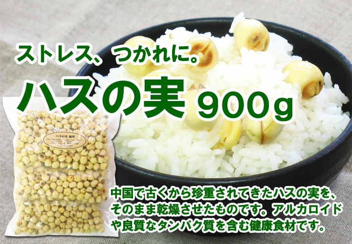 ハスの実９００ｇ
