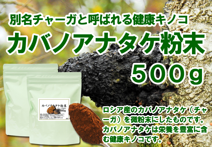 カバノアナタケ粉末５００ｇ