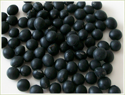 高品質の北海道産・黒豆を使用