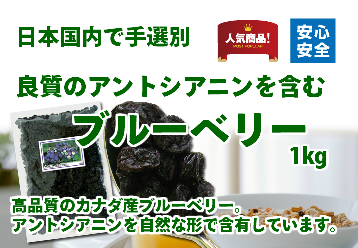 ブルーベリー１ｋｇ