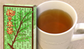 タラノキ茶30パック